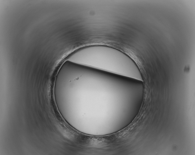 X0000091560346200708171106