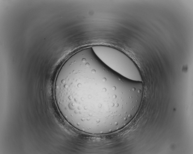 X0000091560347200708171106