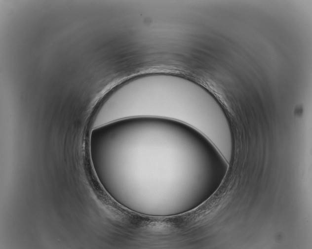 X0000091560348200708171106