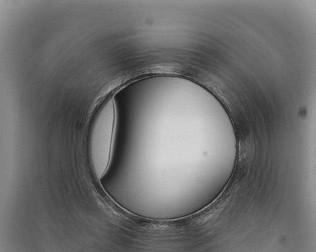 X0000091560349200708171106