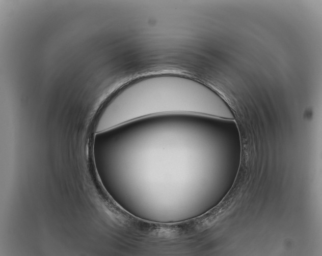 X0000091560350200708171106