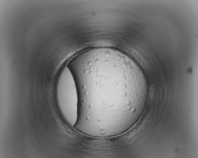 X0000091560351200708171106