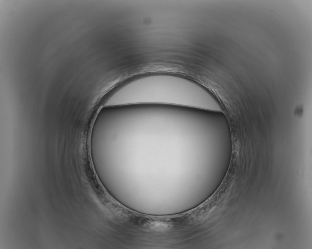 X0000091560352200708171106