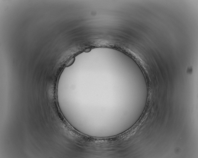 X0000091560353200708171106