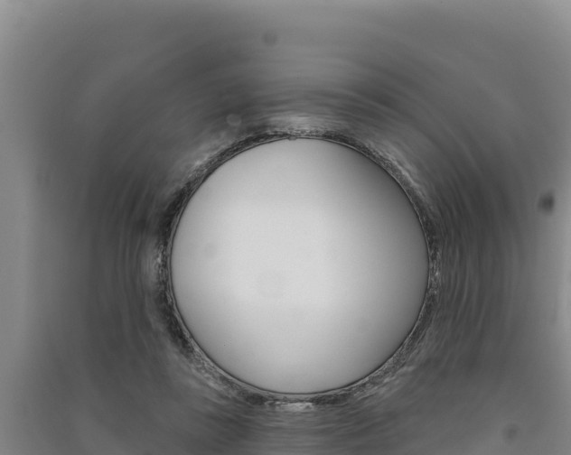 X0000091560355200708171106