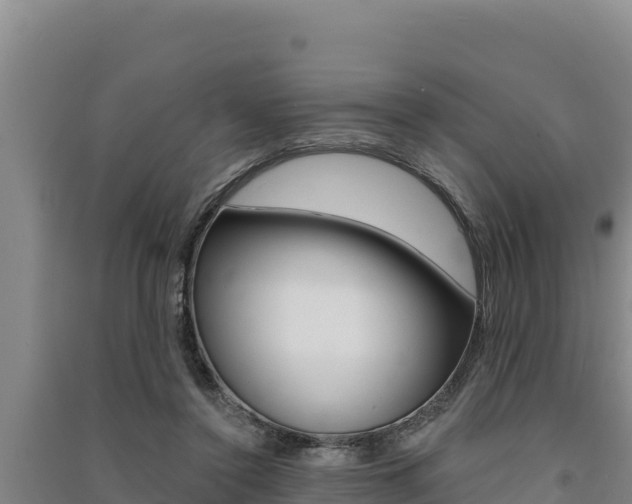 X0000091560356200708171106