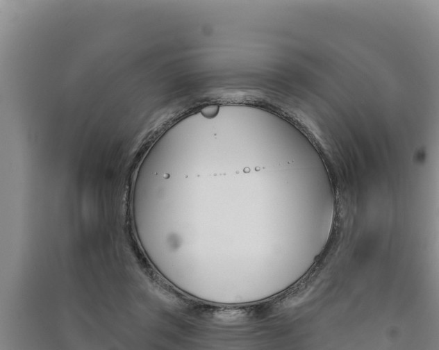 X0000091560357200708171106