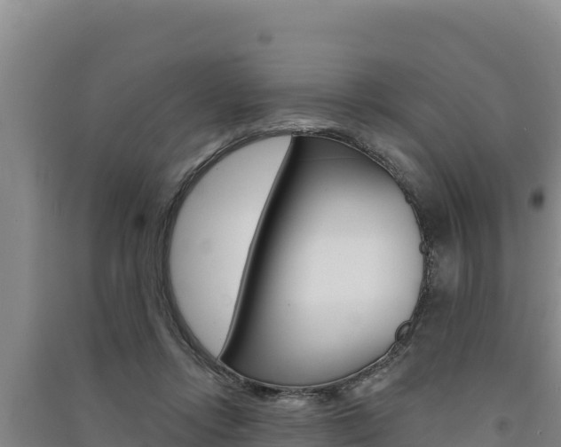 X0000091560358200708171106