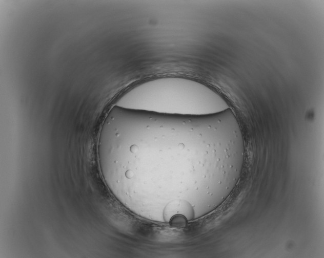 X0000091560359200708171106
