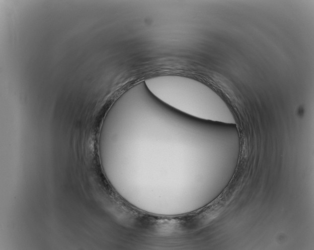 X0000091560363200708171106