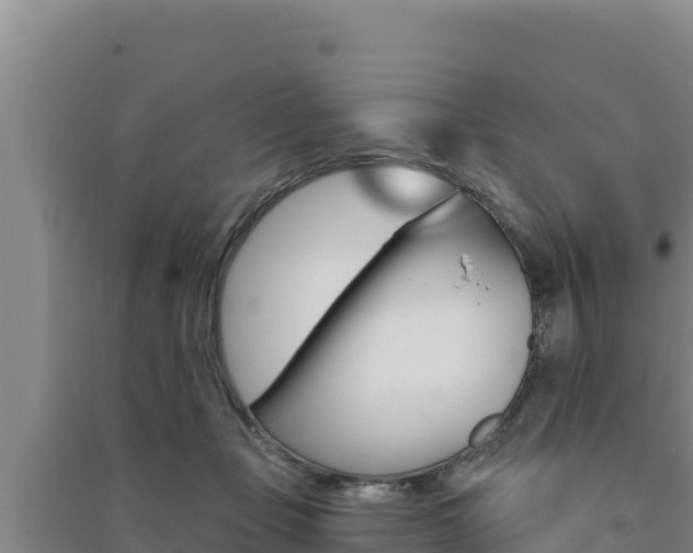 X0000091560365200708171106