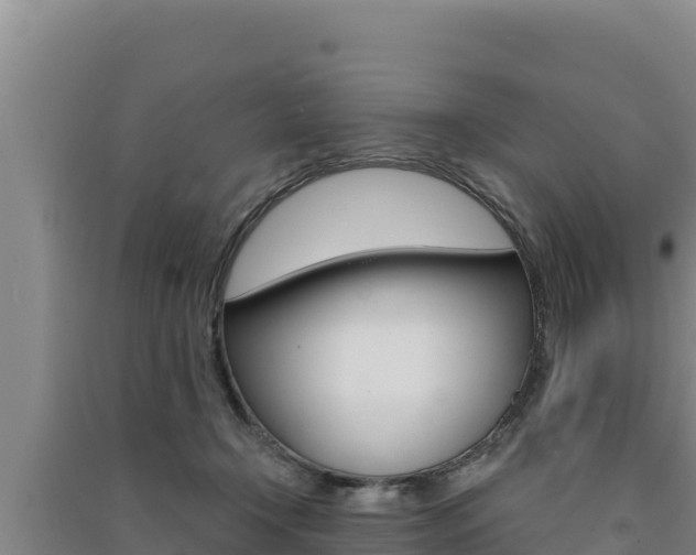 X0000091560366200708171106