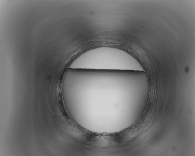 X0000091560367200708171106