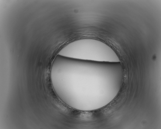 X0000091560369200708171106