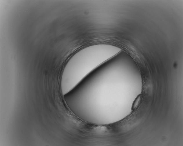 X0000091560374200708171106