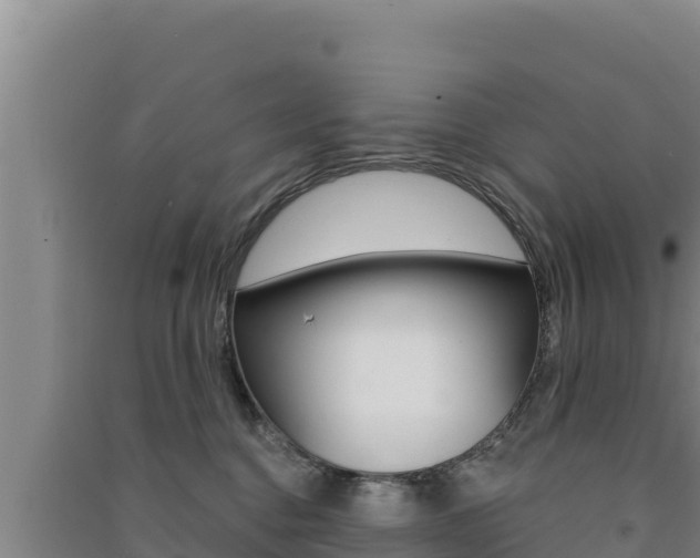 X0000091560376200708171106