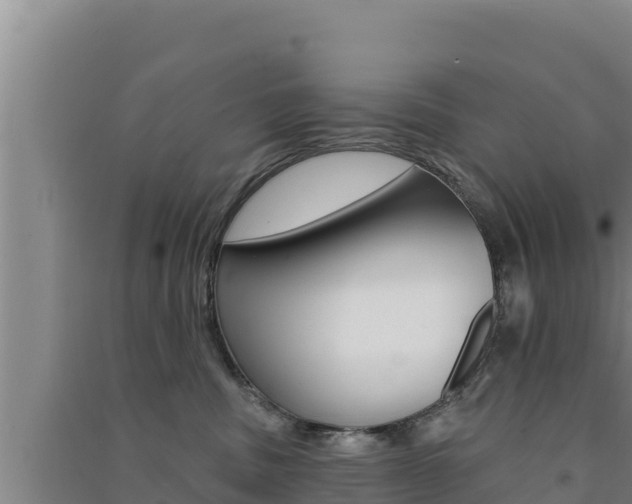 X0000091560379200708171106