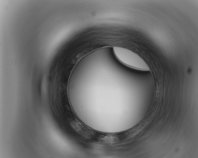 X0000091560383200708171106