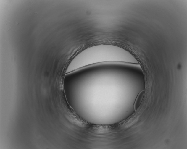 X0000091560384200708171106