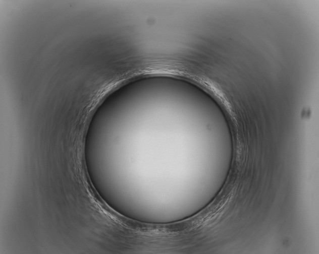 X0000091560385200708171106