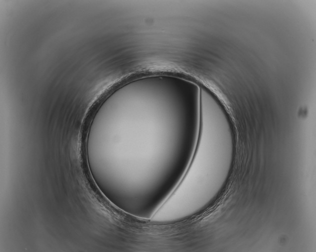 X0000091560391200708171106