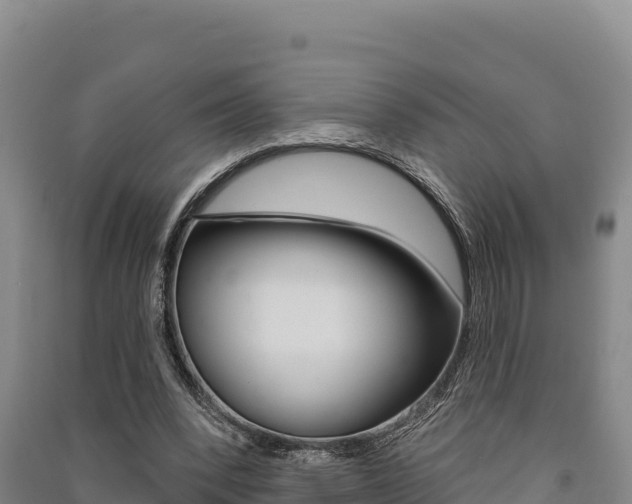 X0000091560392200708171105