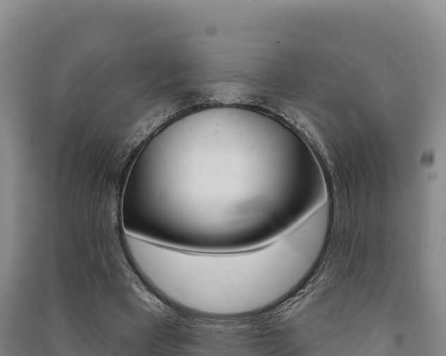 X0000091560393200708171105