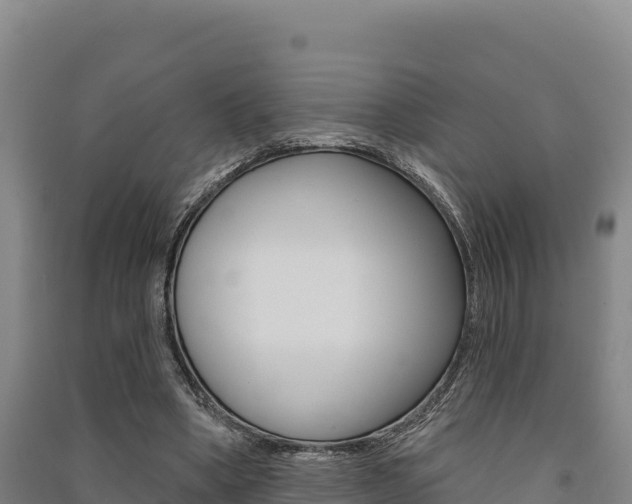 X0000091560394200708171105