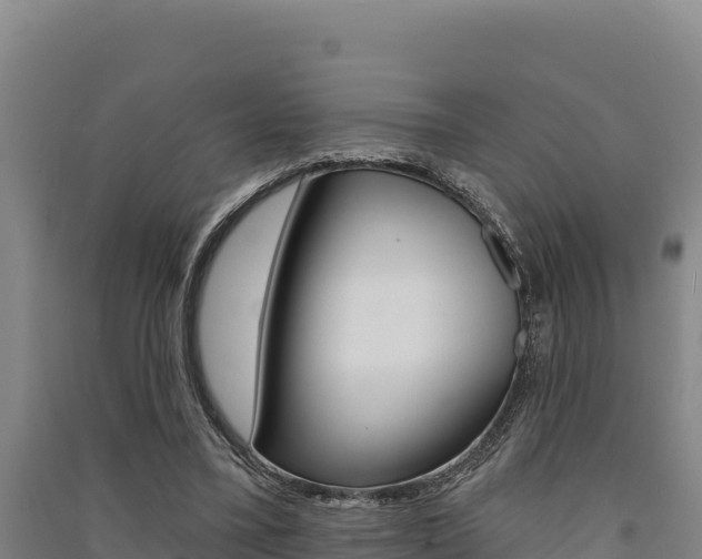 X0000091560395200708171105