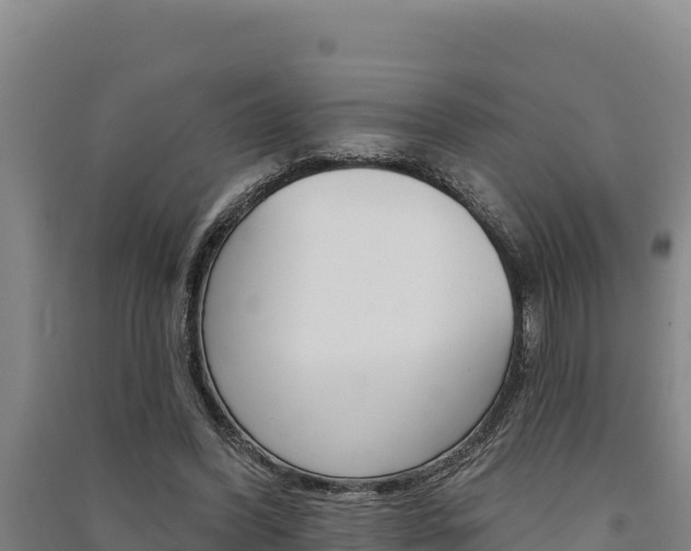 X0000091560396200708171105