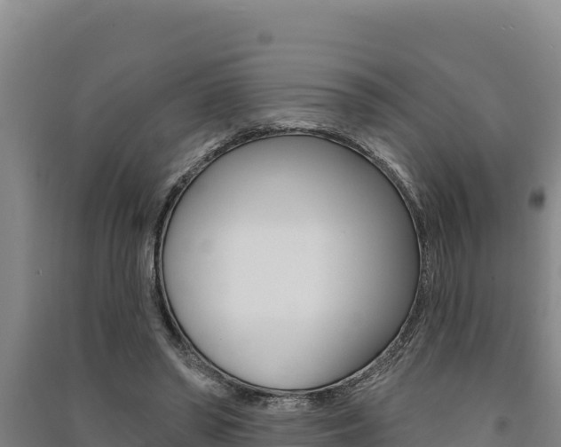 X0000091560398200708171105