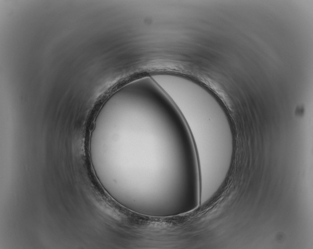 X0000091560399200708171105