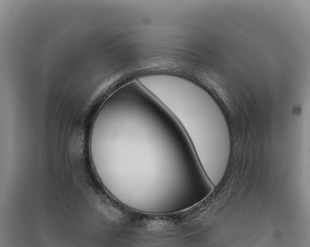 X0000091560400200708171105