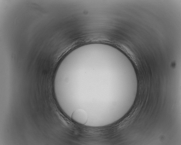 X0000091560405200708171105