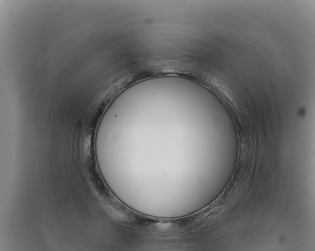 X0000091560406200708171105