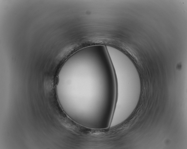 X0000091560407200708171105