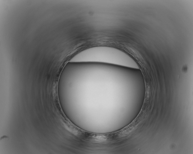 X0000091560409200708171105
