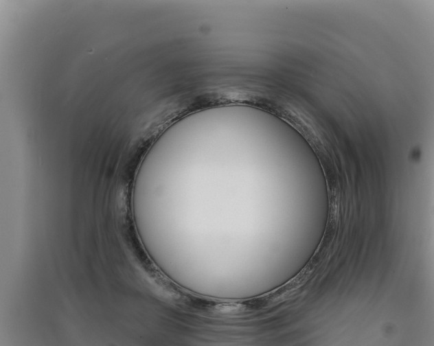 X0000091560410200708171105