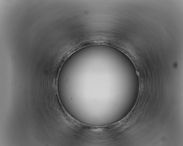 X0000091560411200708171105