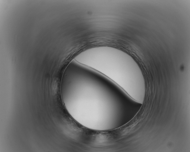X0000091560412200708171105