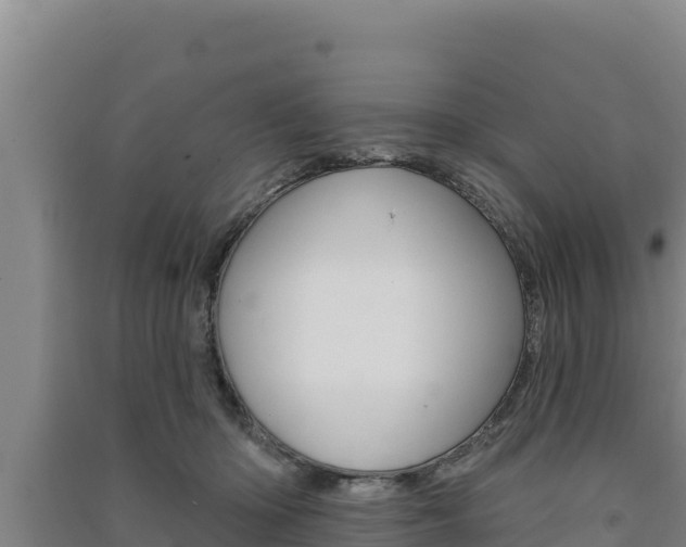 X0000091560414200708171105