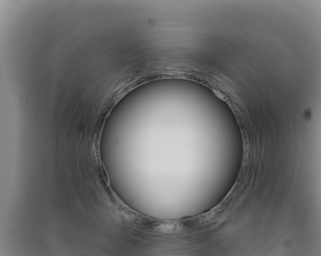 X0000091560415200708171105