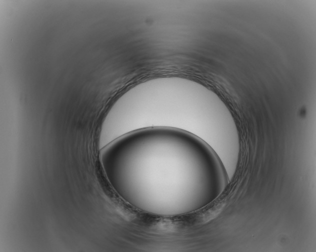 X0000091560416200708171105