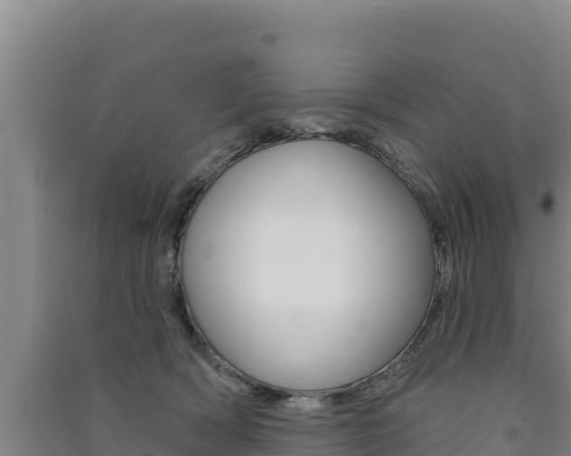 X0000091560418200708171105