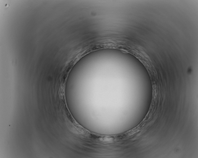 X0000091560419200708171105