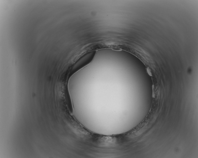 X0000091560421200708171105