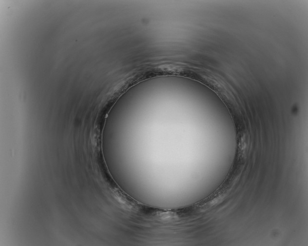 X0000091560424200708171105