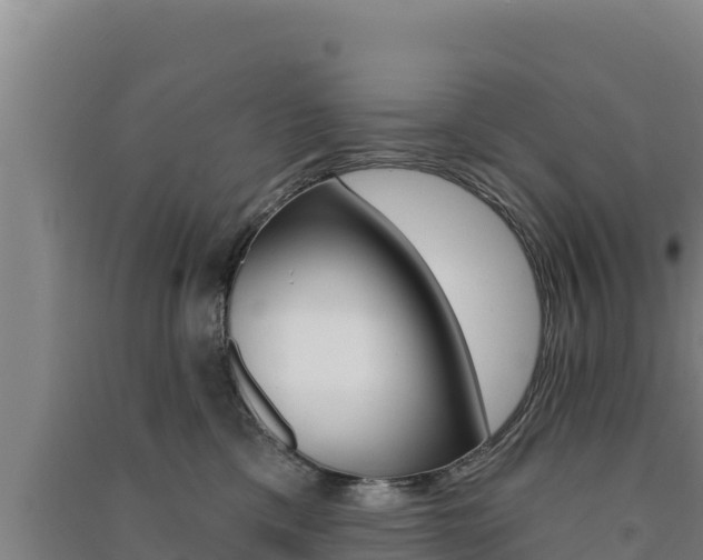 X0000091560425200708171105