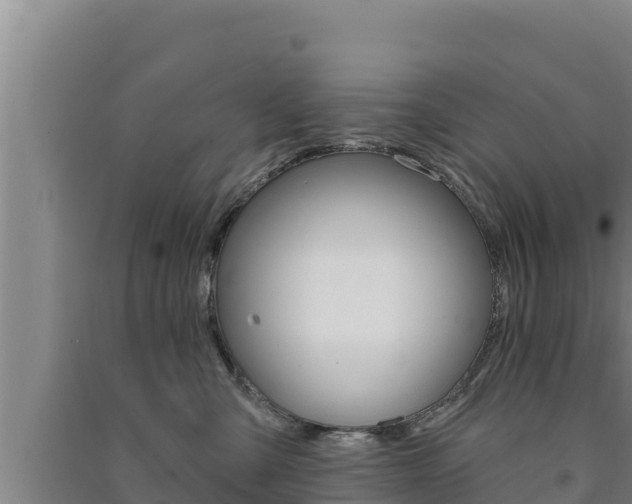 X0000091560427200708171105