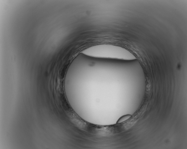X0000091560430200708171105